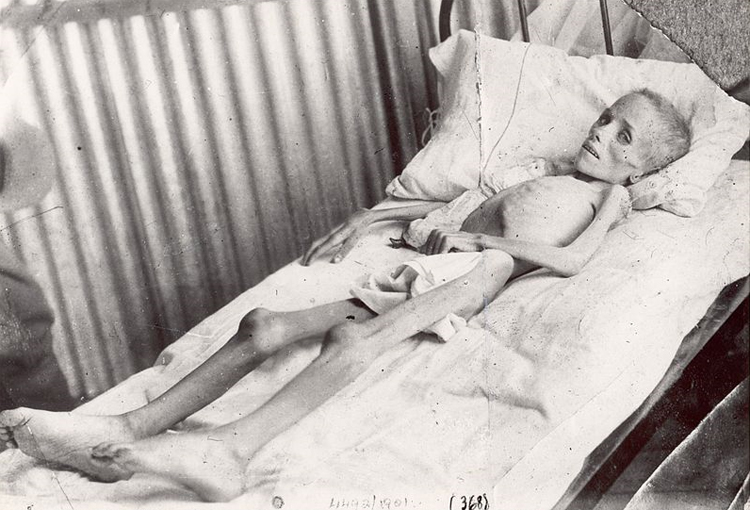 Lizzie van Zyl, una giovanissima vittima, non sufficientemente celebre, della malnutrizione forzata dei britannici durante la seconda guerra contro i boeri